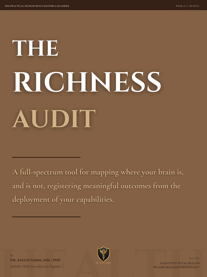 THE RICHNESS AUDIT product image (1)