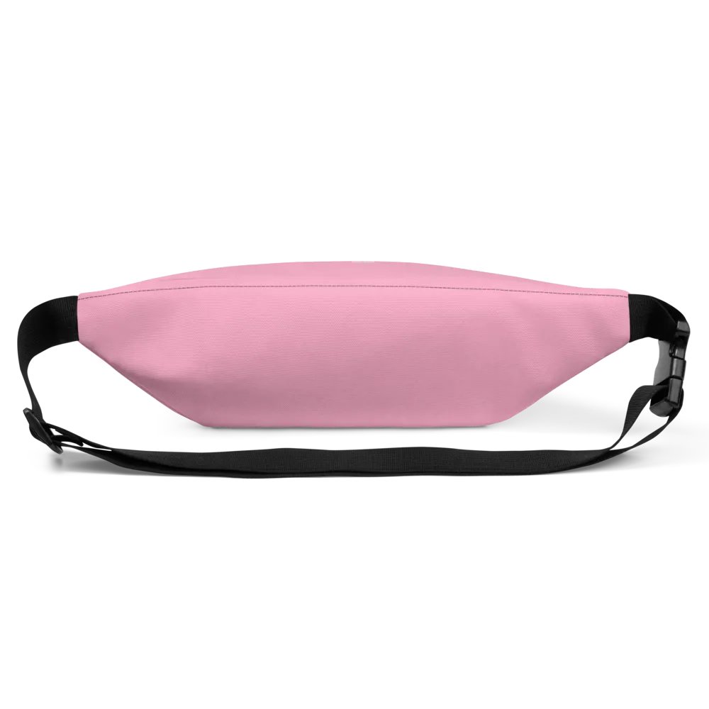 [Series 2.0 Model] Fanny Pack product image (10)