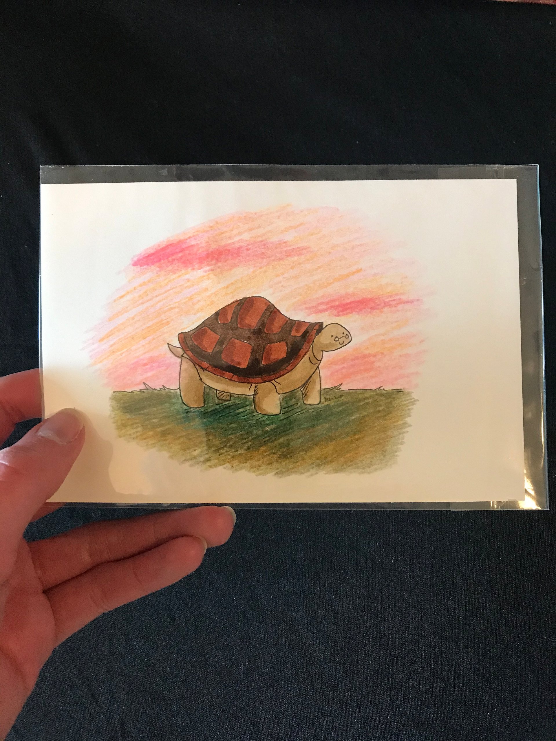 Turtles with Glasses Original Marker Illustrations product image (5)
