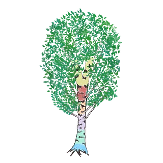 Painted Birch