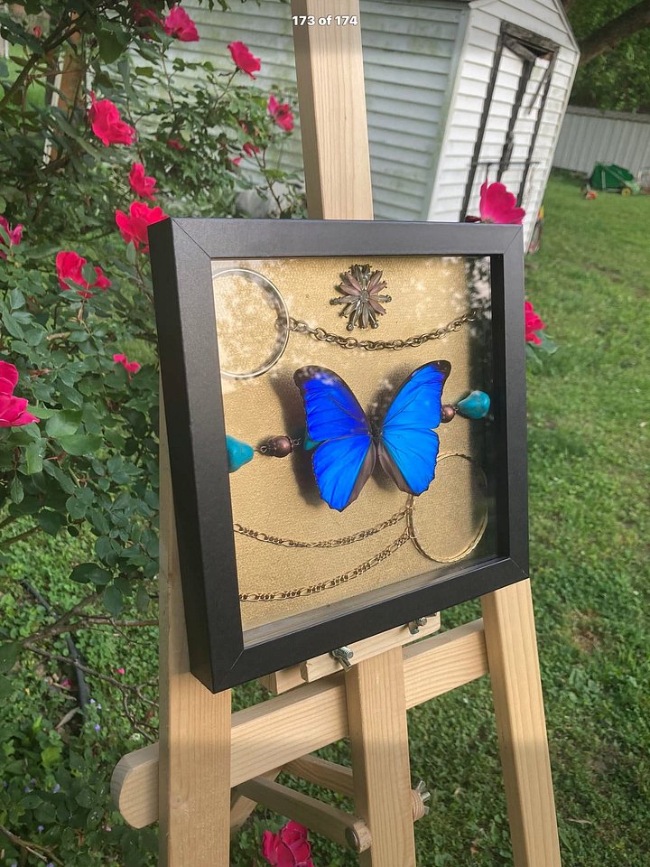 Butterfly box product image (2)