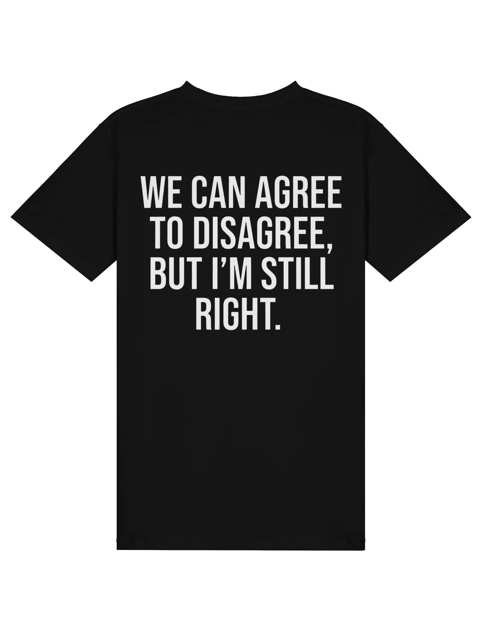 We Can Agree To Disagree But I'm Still Right Funny T-Shirt product image (5)