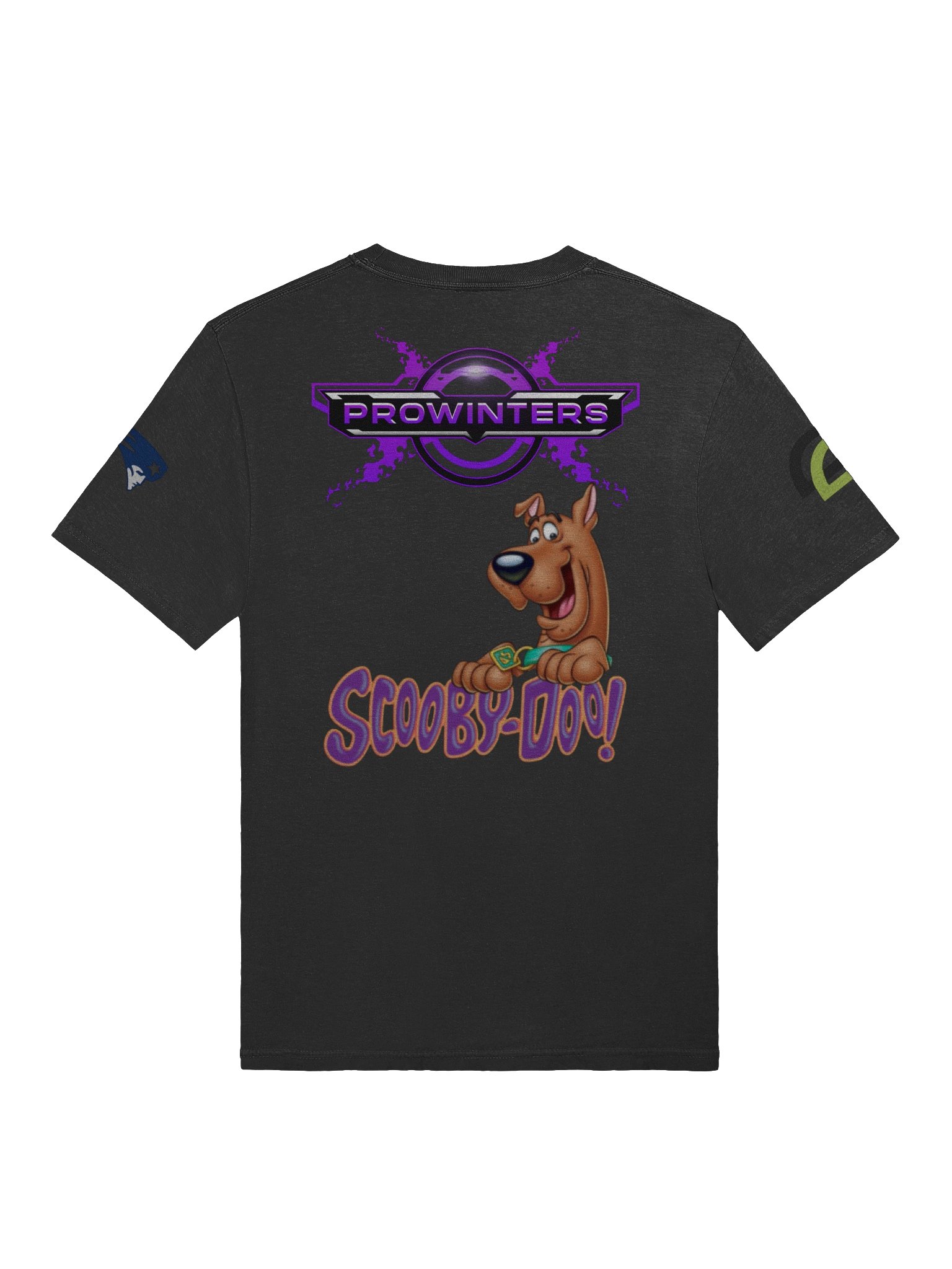 B1 Prowinters Tee! product image (12)