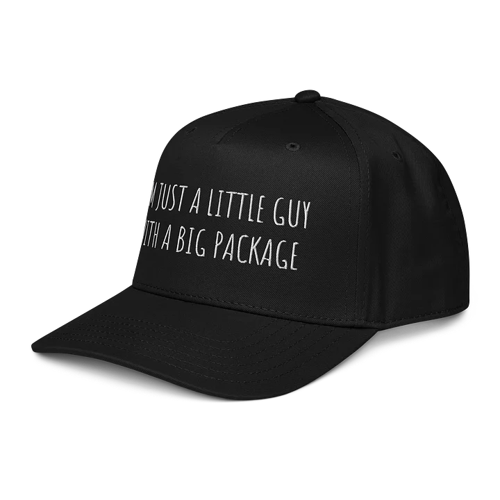 Little Guy product image (2)