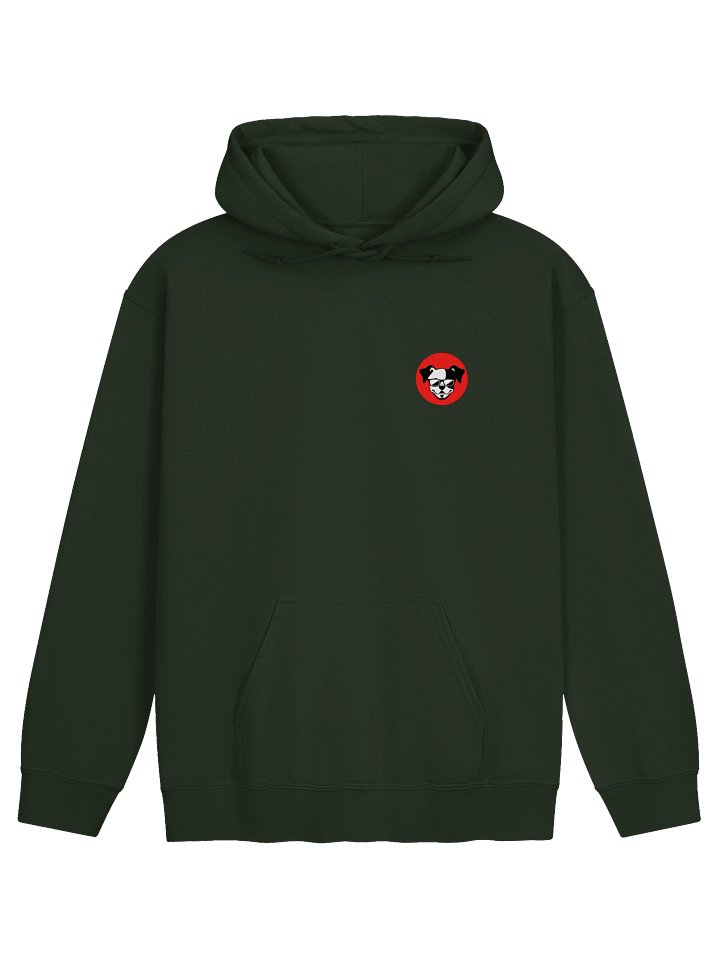X-ray Full Logo Hoodie - NoZip product image (10)