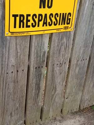check out this awesome sign #frog #property #tiktokshop 