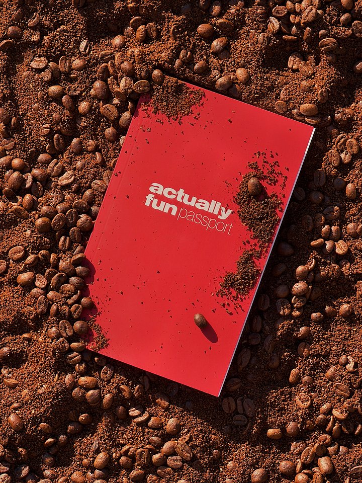 Actually Fun Passport product image (1)
