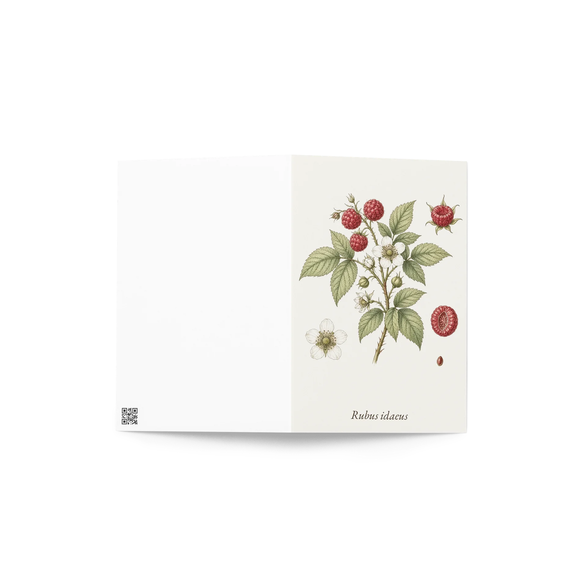 Vintage Botanical Raspberry Greeting Card product image (4)