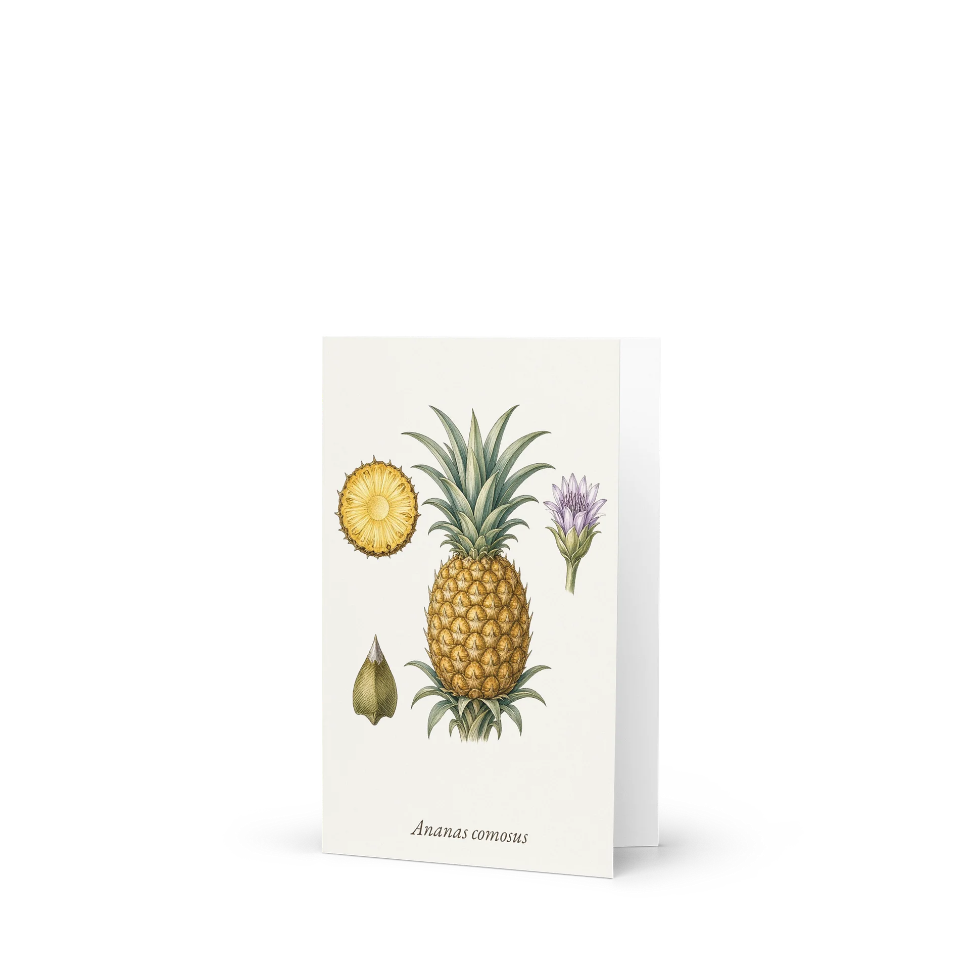 Vintage Botanical Pineapple Greeting Card product image (1)