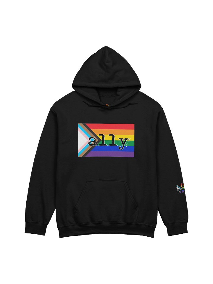 HOODIE - ALLY PRIDE product image (1)