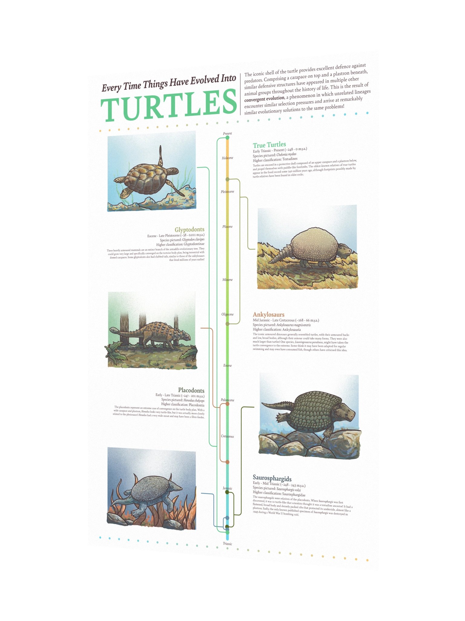 Turtle Convergence Poster product image (3)