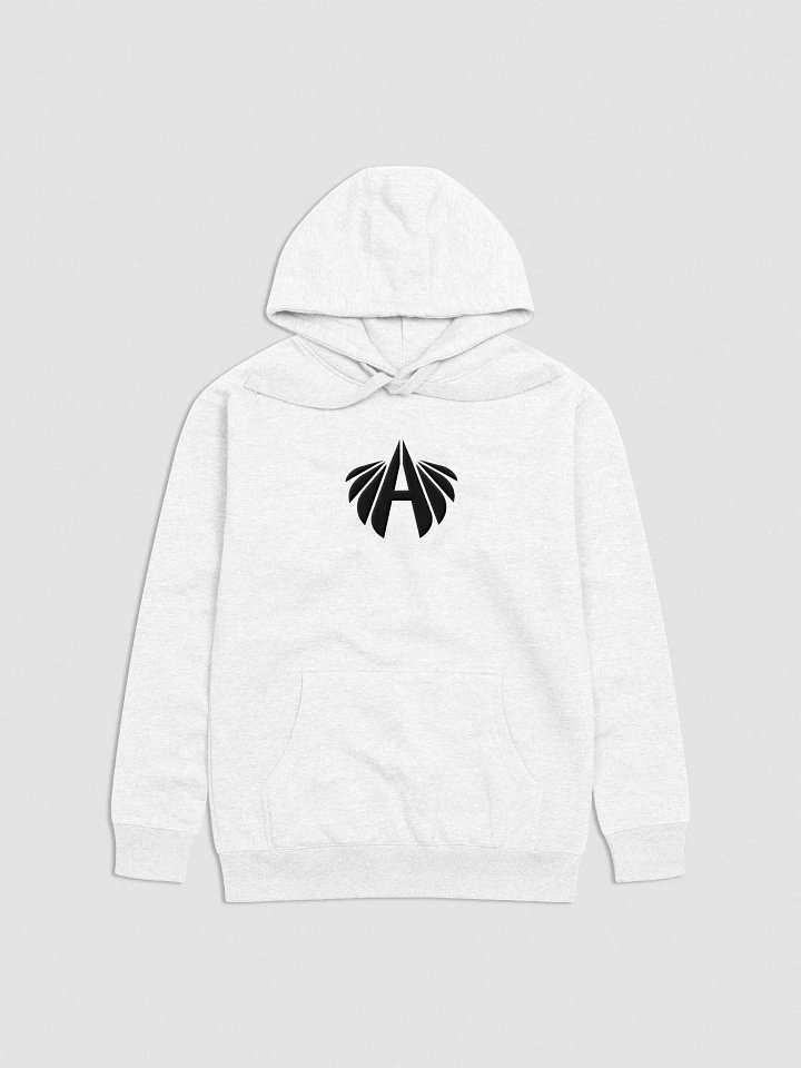 Angel Embroidered Hoodie V1 Colors product image (1)