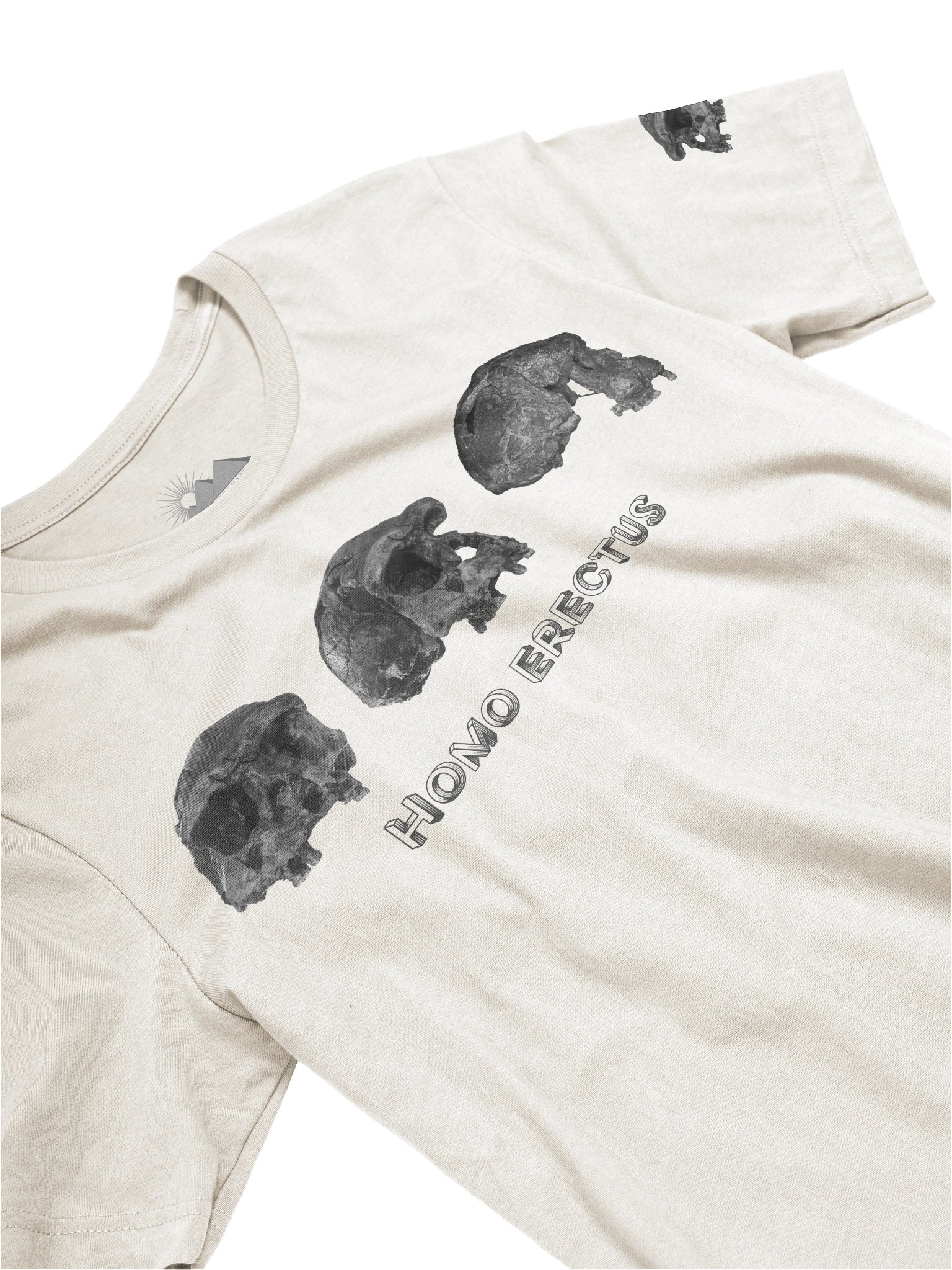 Erectus Fossil Skull T-Shirt Light product image (15)