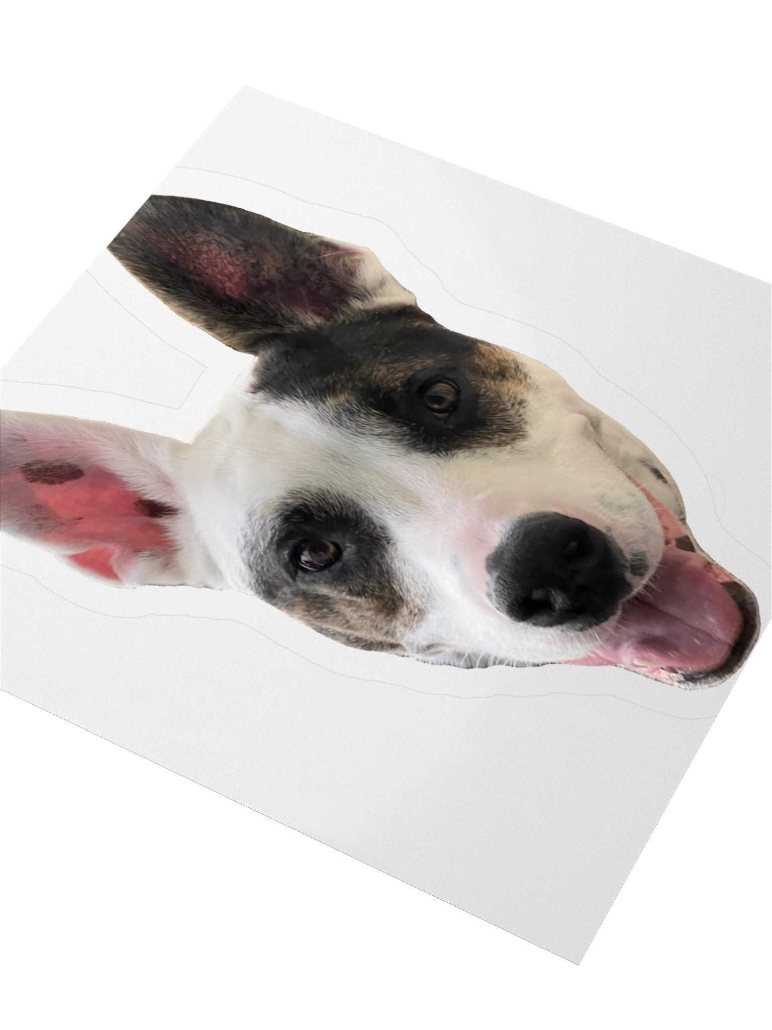 Sagey Sticker product image (8)