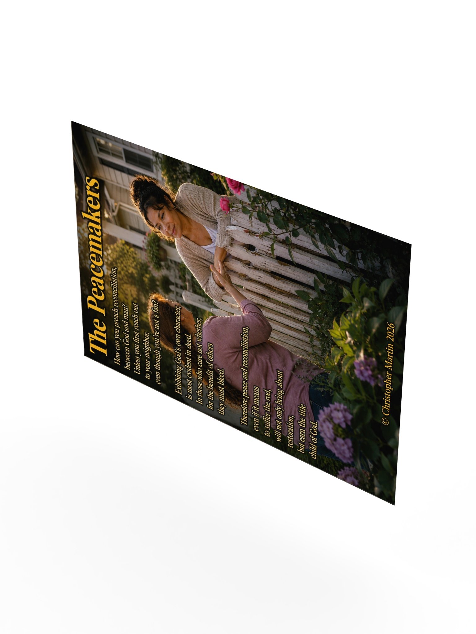 Peacemakers product image (8)