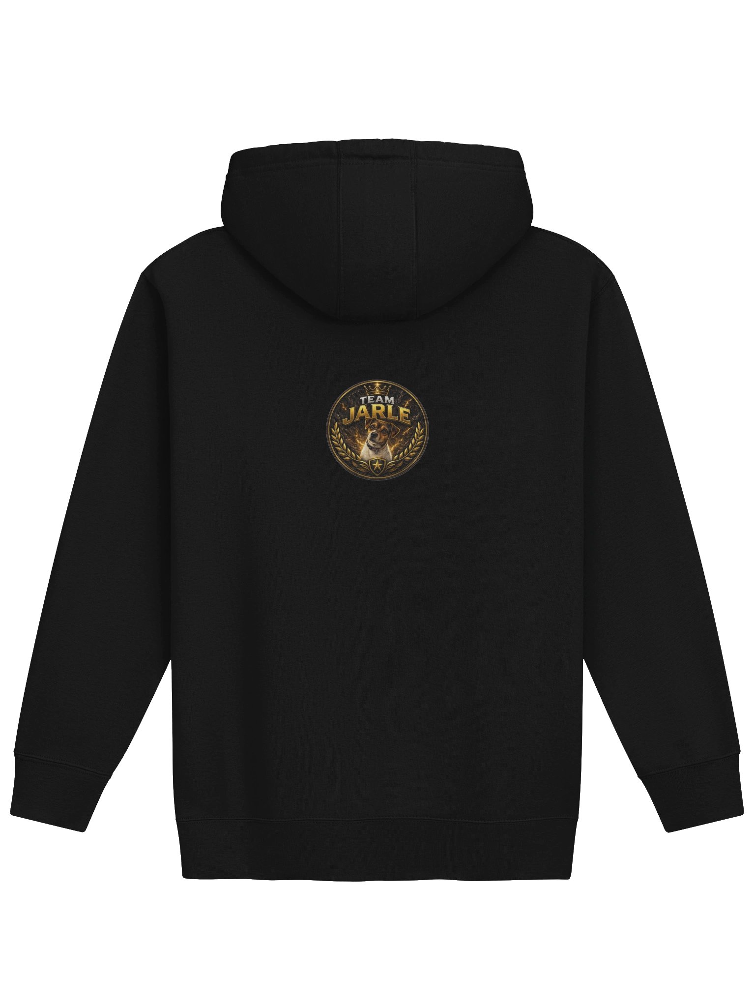 Team Jarle Hoddie product image (12)