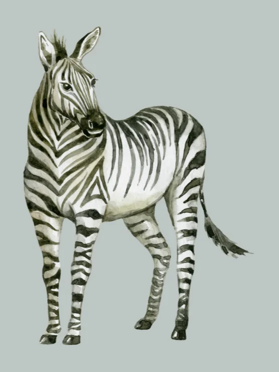 Safari Nursery Wall Prints, Boho Nursery Prints product image (2)