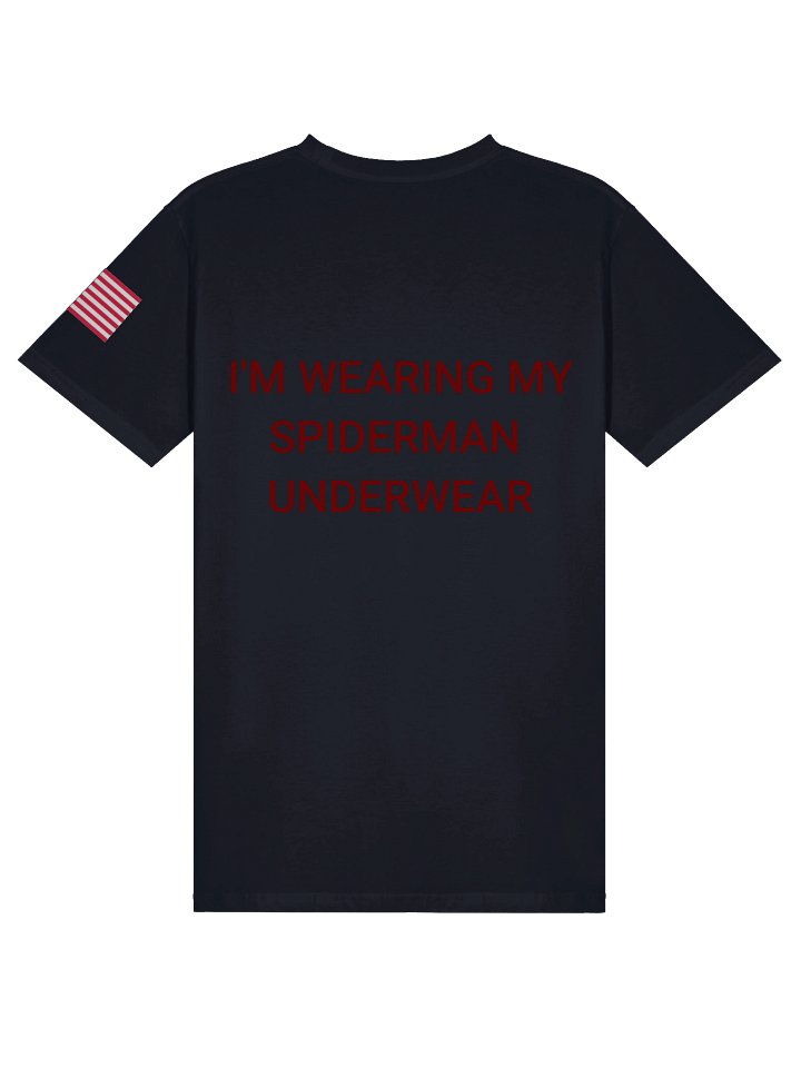 spiderman back product image (4)
