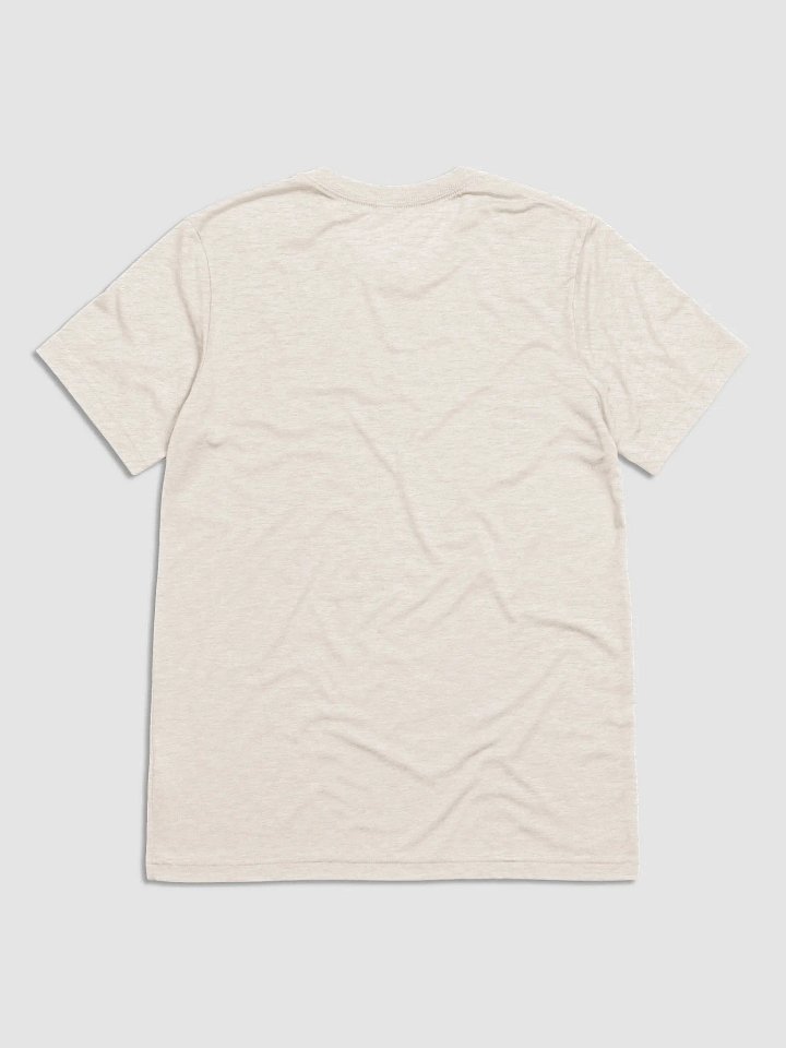 Christian Conspiracy Coalition (Bible Edition) - Triblend Short Sleeve T-Shirt product image (2)