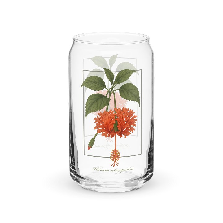Hibiscus schizopetalus Glass product image (1)