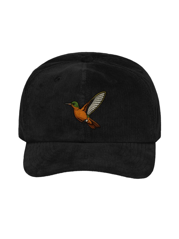 Cinnamon Hummingbird Embroidered Corduroy Hat | Vintage Bird Cap | Nature Inspired Style product image (3)