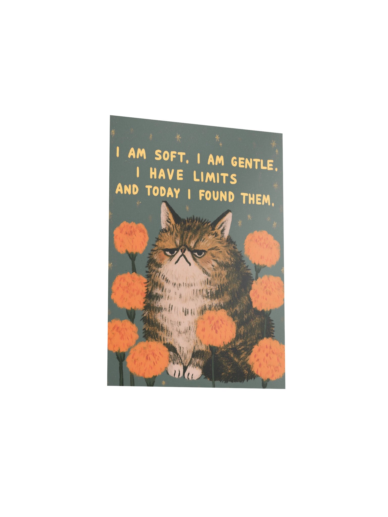 Grumpy Cat Limits Poster product image (15)