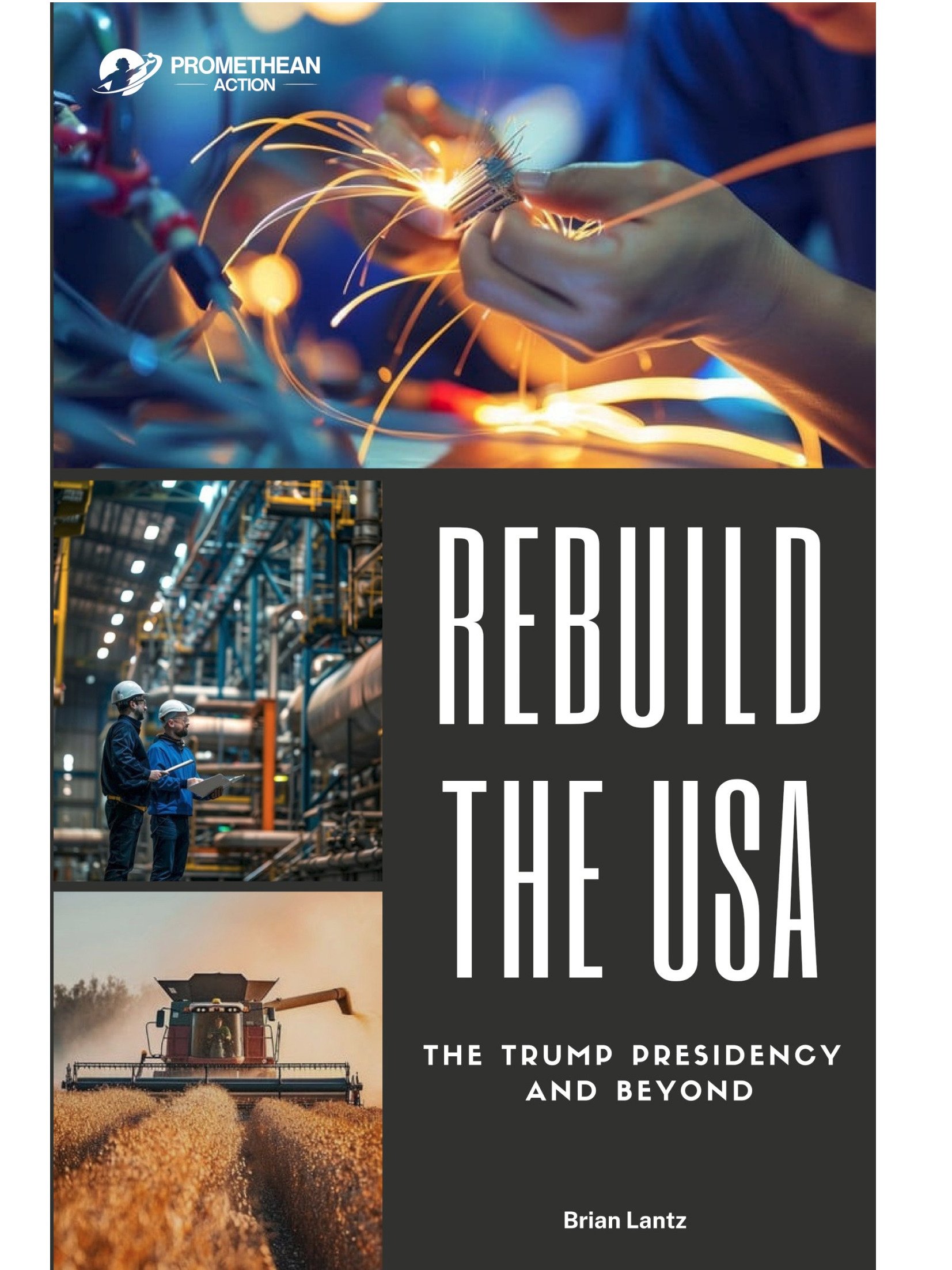 Rebuild the USA: The Trump Presidency and Beyond - Digital Edition (.epub) and (.pdf) product image (1)