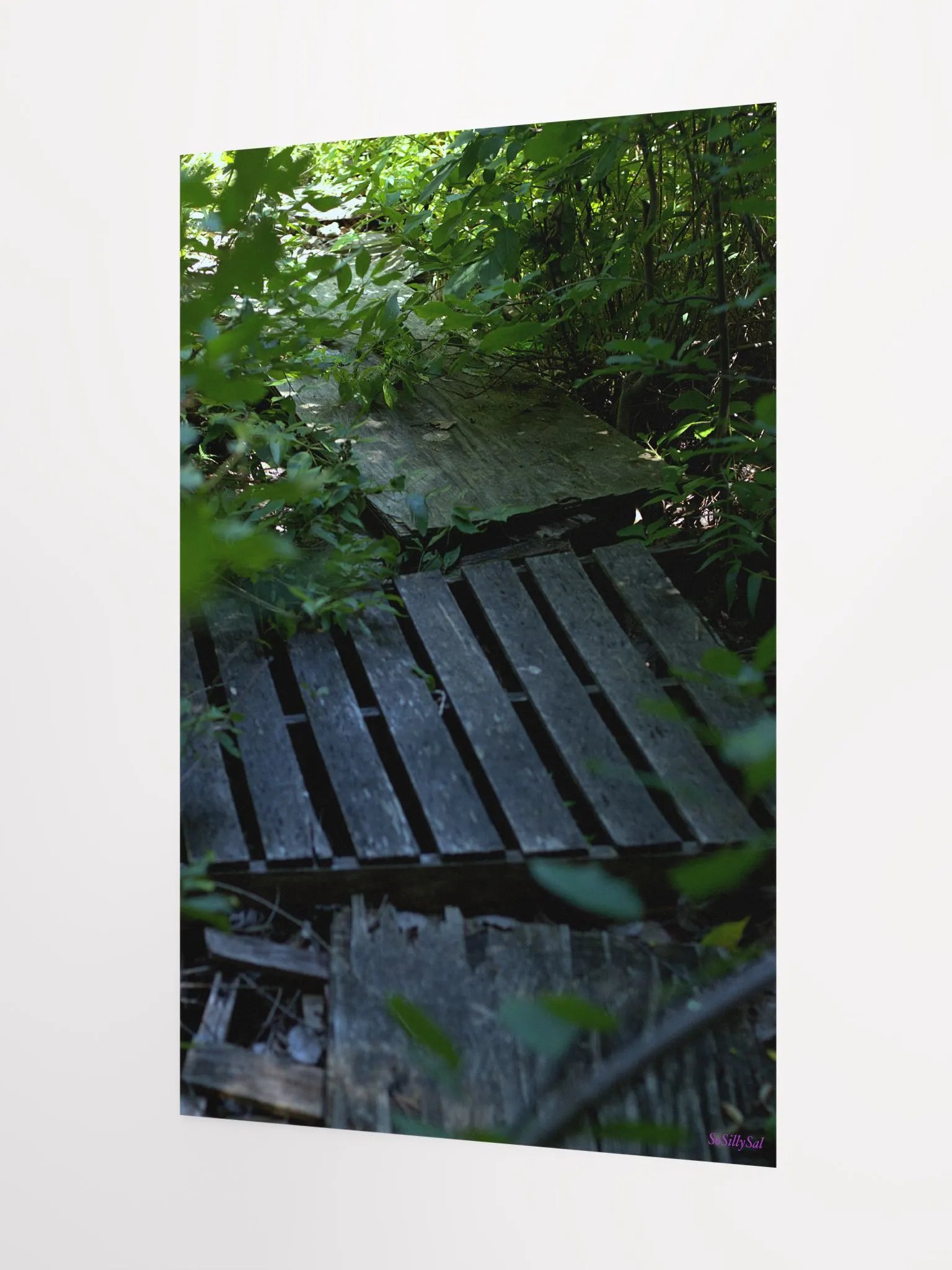 Plank (paper poster) product image (7)
