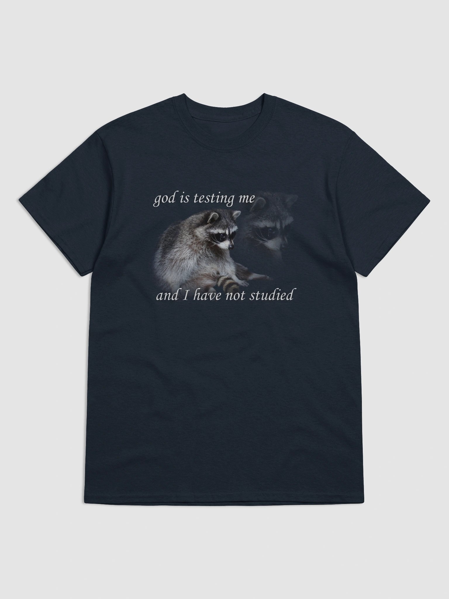 God is Testing Me Raccoon T-shirt product image (46)