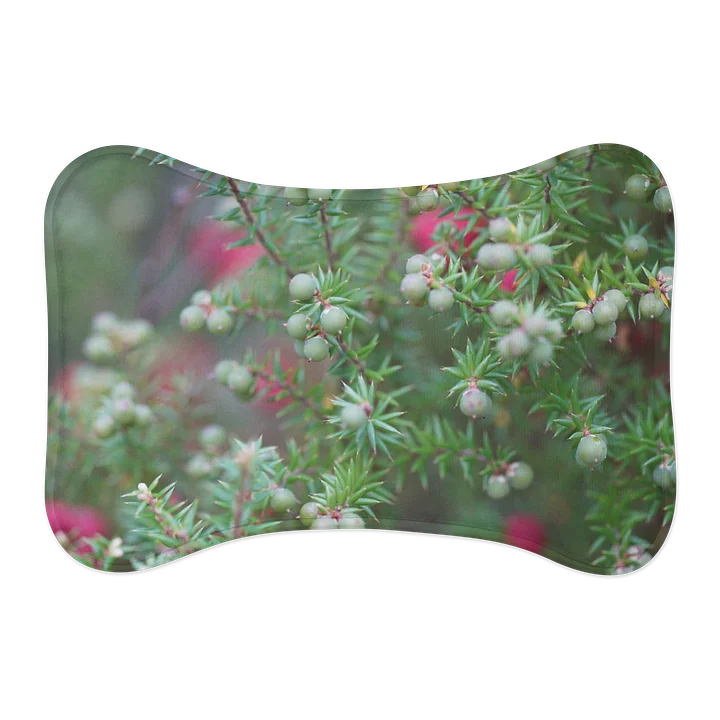 Plant with Berries Pet Feeding Mats product image (1)
