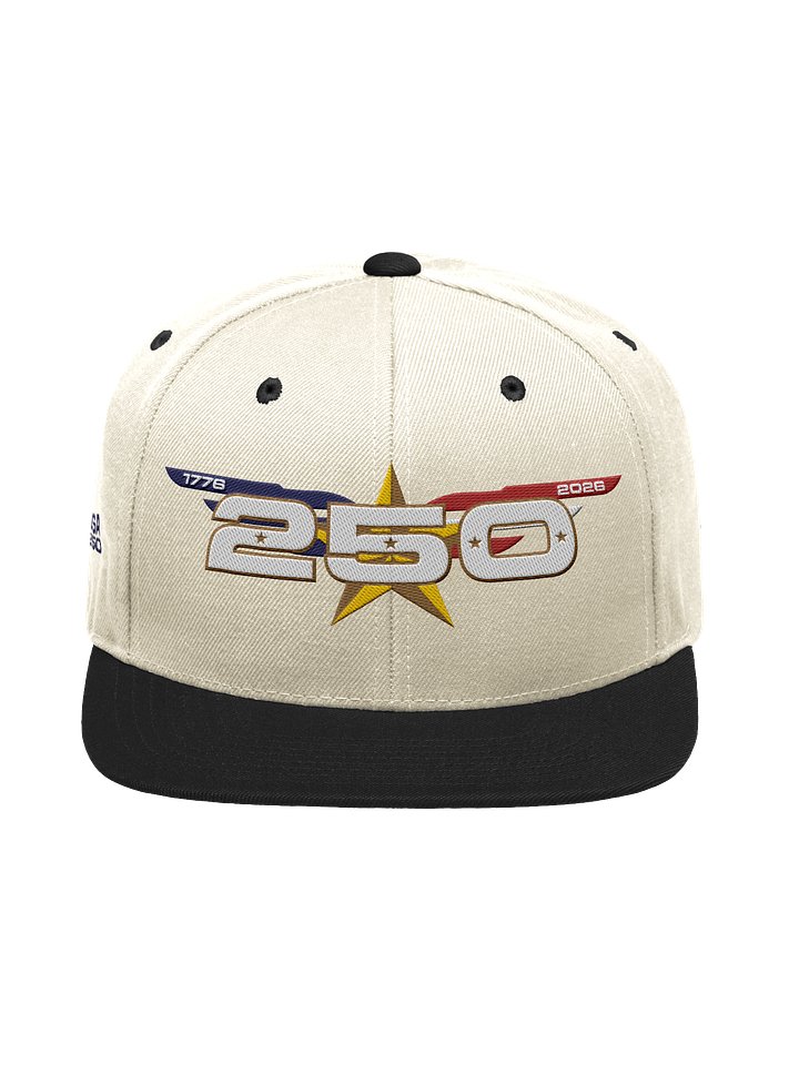 USA250 Winged Logo Two Tone Cap product image (1)