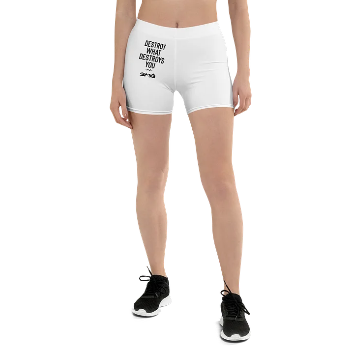 Destroy What Destroys You product image (1)