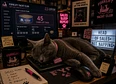 Laizer Beam's tag thumbnail