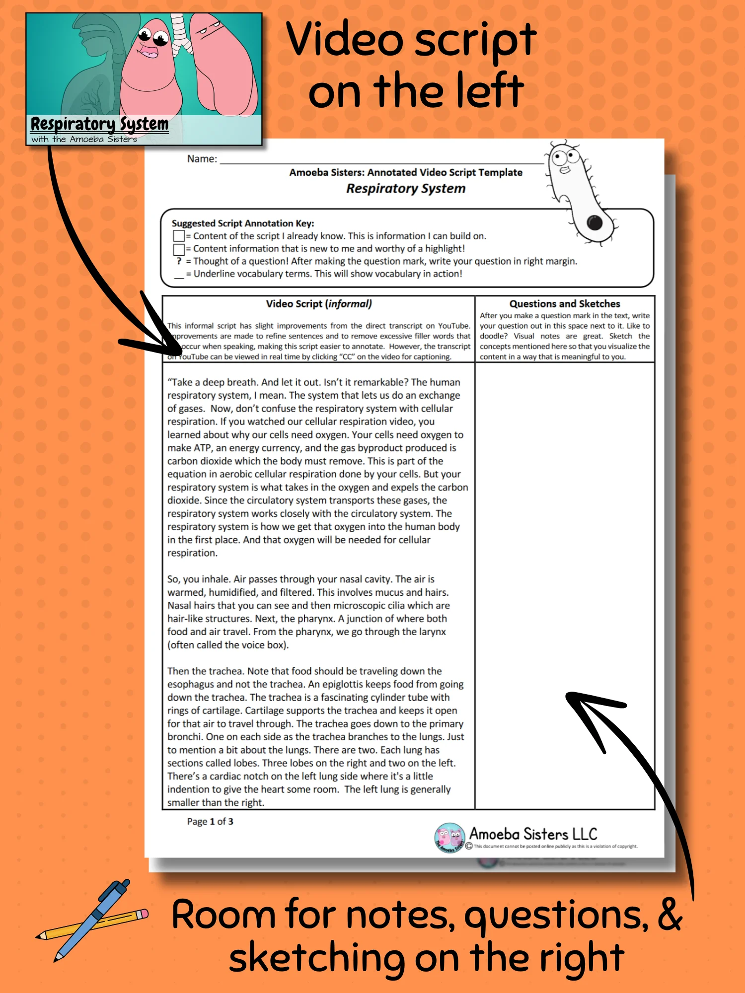 Amoeba Sisters Respiratory System Annotated Video Script PDF product image (2)