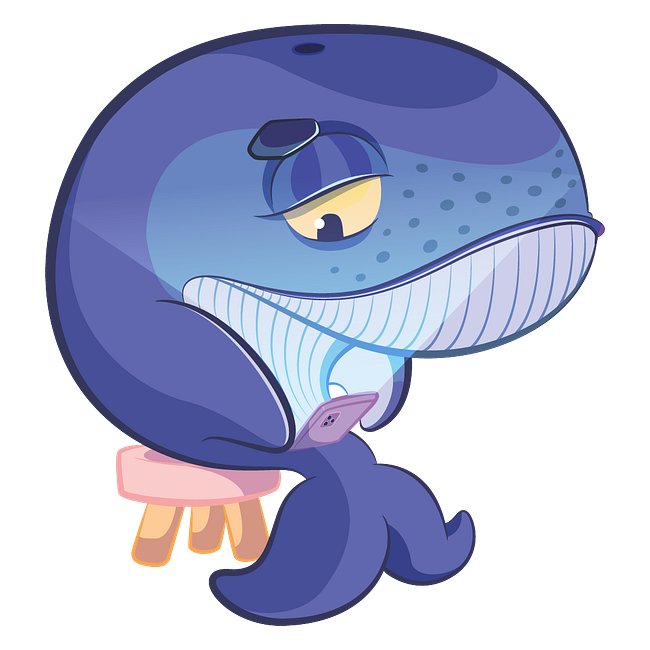 Ballena Jorobada