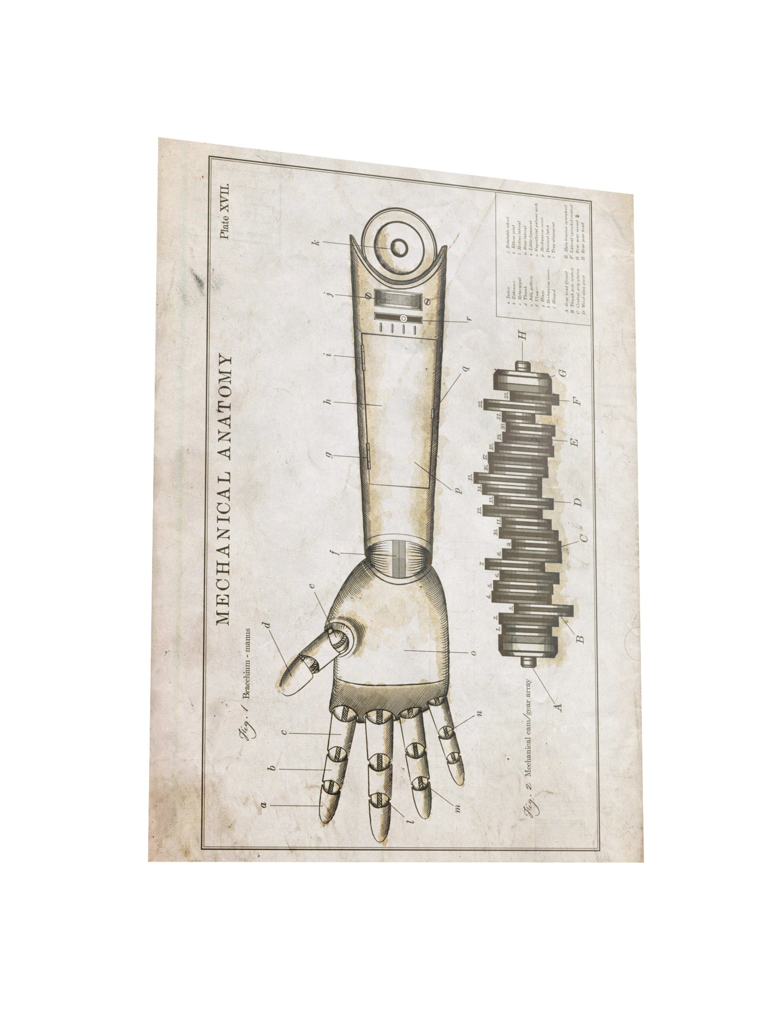 The Room - Mechanical Arm A product image (3)