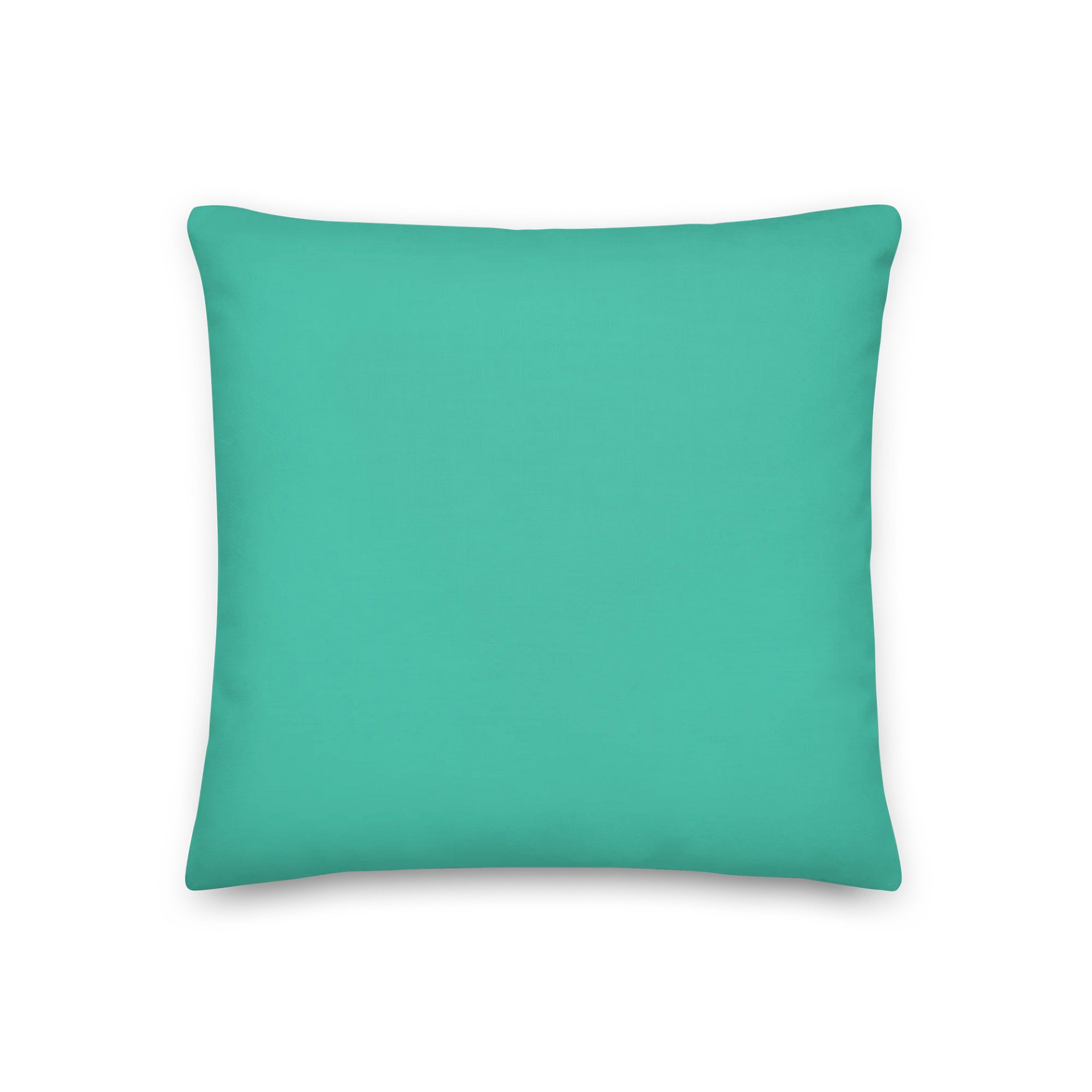 Gecko Tracks Pillow - Blue-green product image (2)
