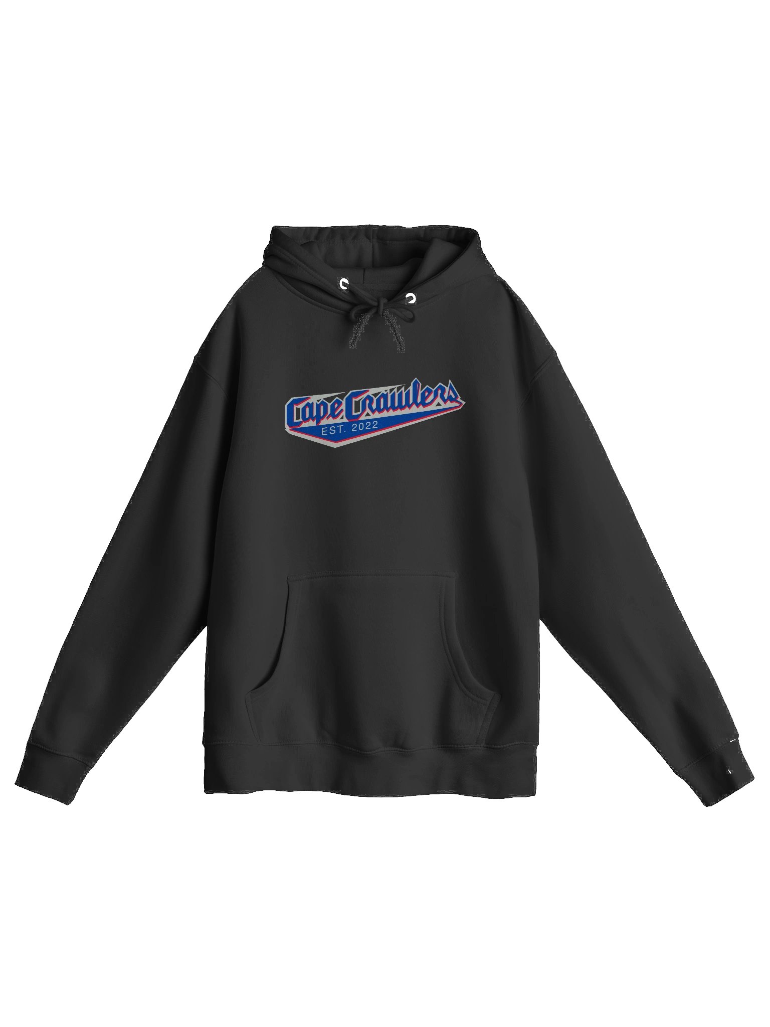 Varsity Logo (Blue) Hoodie product image (2)