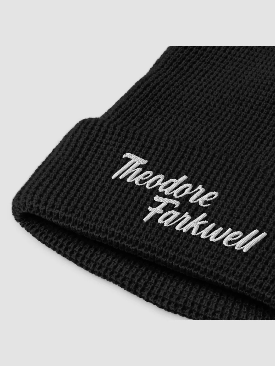 THEODORE FARKWELL BEANIE product image (1)
