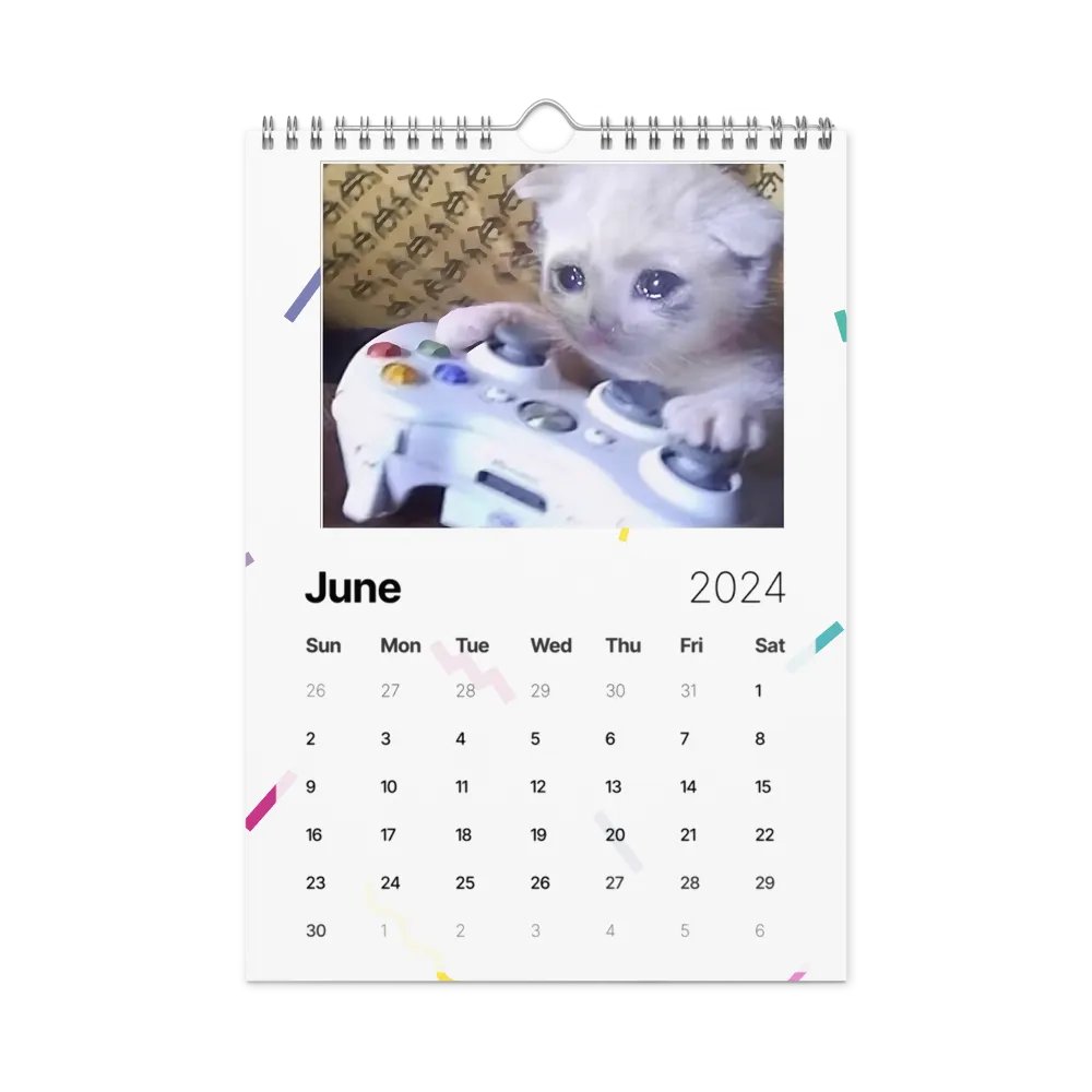 Wall Calendar (2024): Meme Cats product image (12)