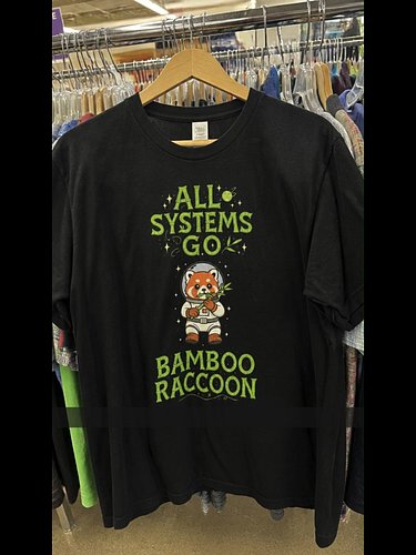 #pepperrocket #graphictee #statementtee #altfashion #streetstyle #unhinged #darkhumor #weirdgirl #funnyshirt #memeshirt #ootd...