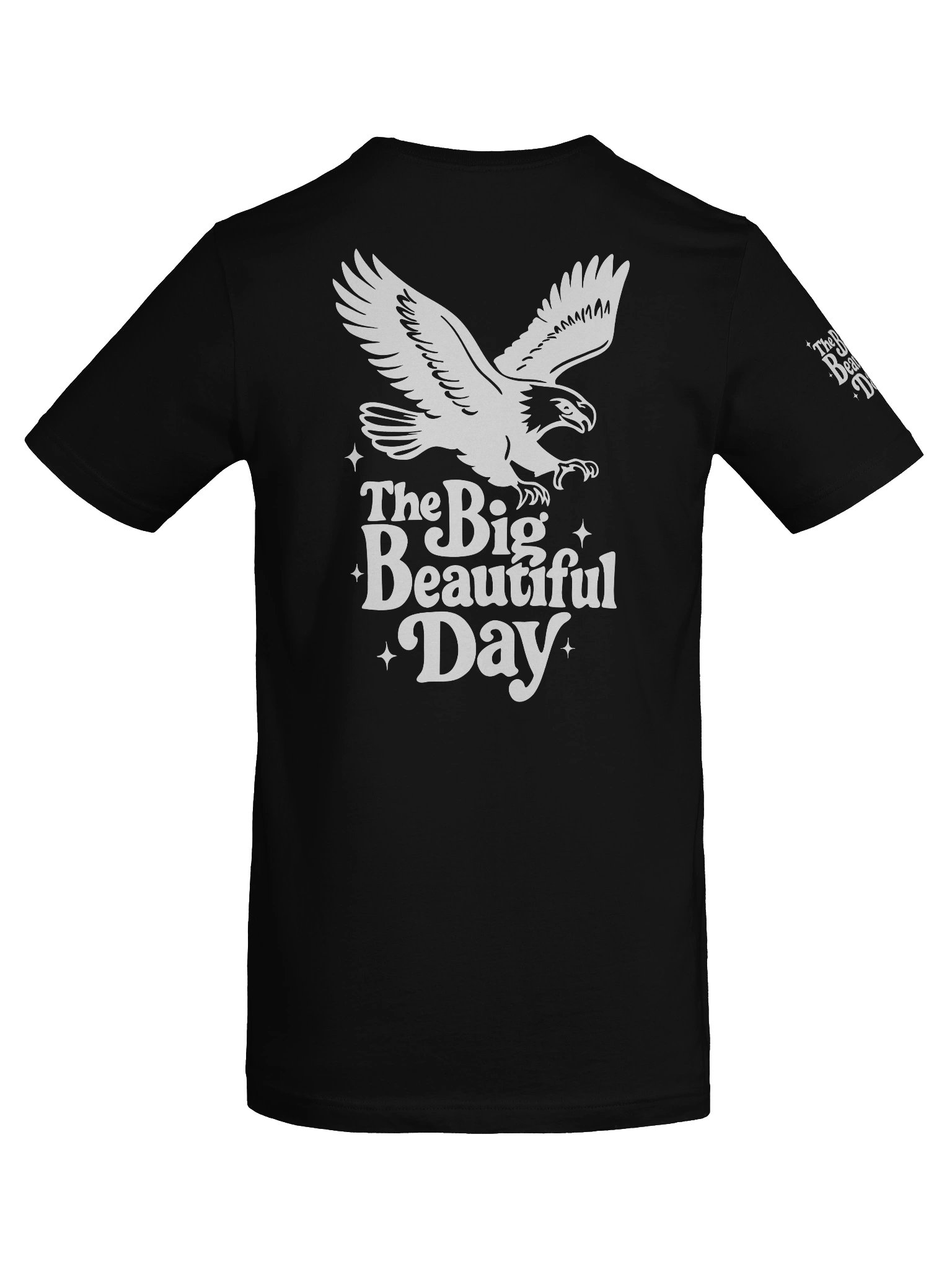 Soaring Big Beautiful Day Tee | Bella+Canvas product image (8)