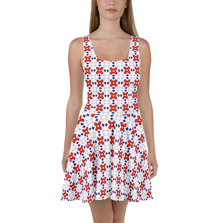 Bold Red & Blue Floral Dress product image (1)
