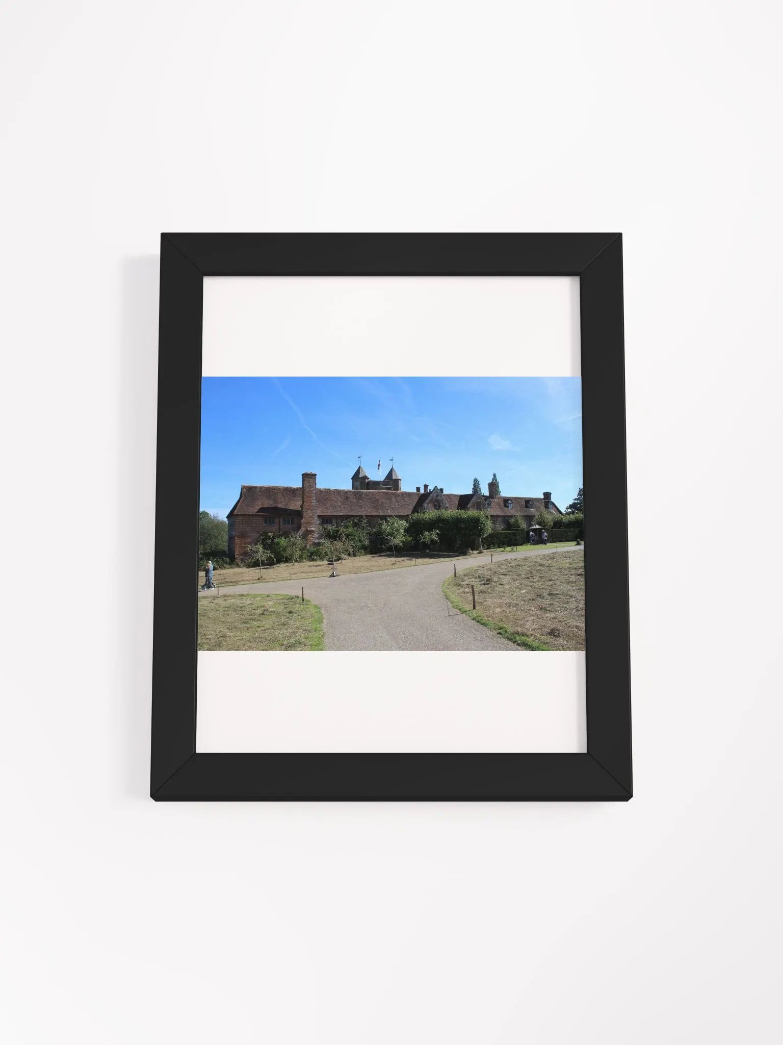 Sunny Path Framed Matte Poster product image (3)