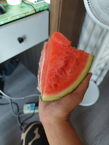 I'm eating watermelon 🍉 as reward, very yummy very tasty i like it