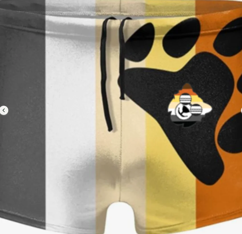 Bear Necessities Bear Pride Flag Swim Shorts product image (1)