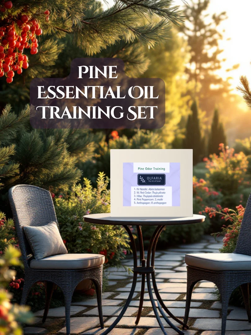 Olfaria Pine Odor Training Kit | 5 Single-Note Essential Oils | Scent Education | Train Your Nose product image (1)