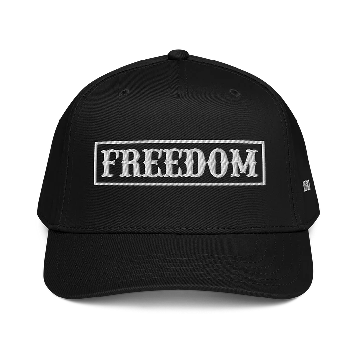 FREEDOM DAD HAT product image (1)