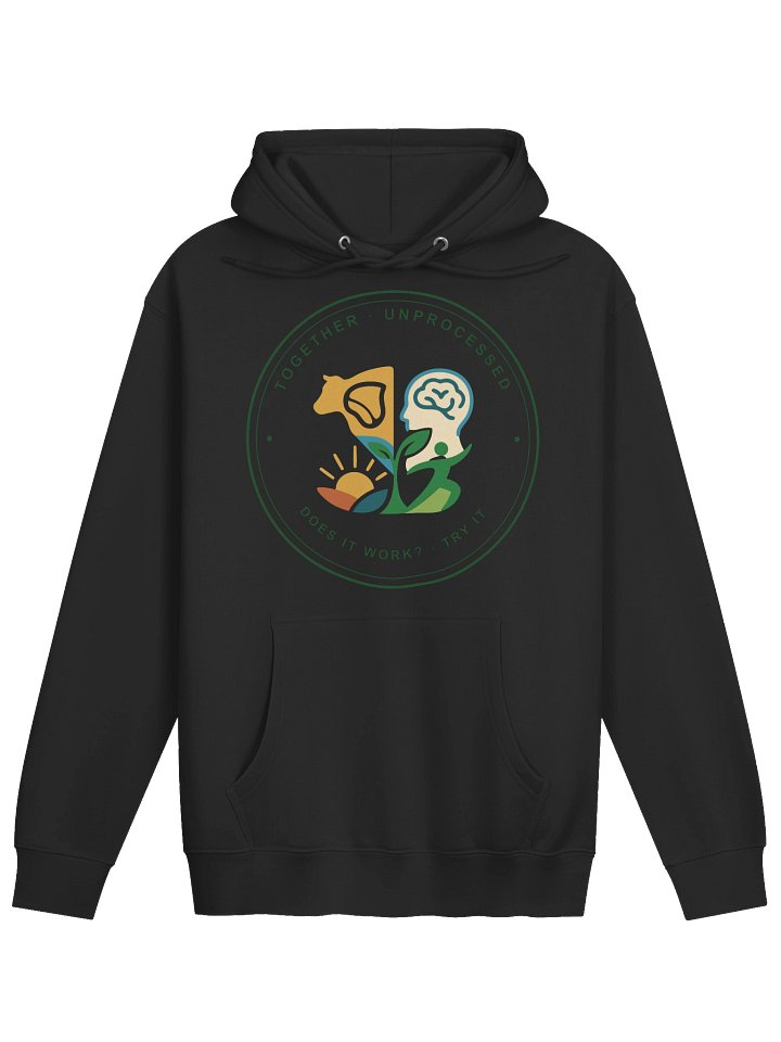 The Try It Hoodie product image (1)