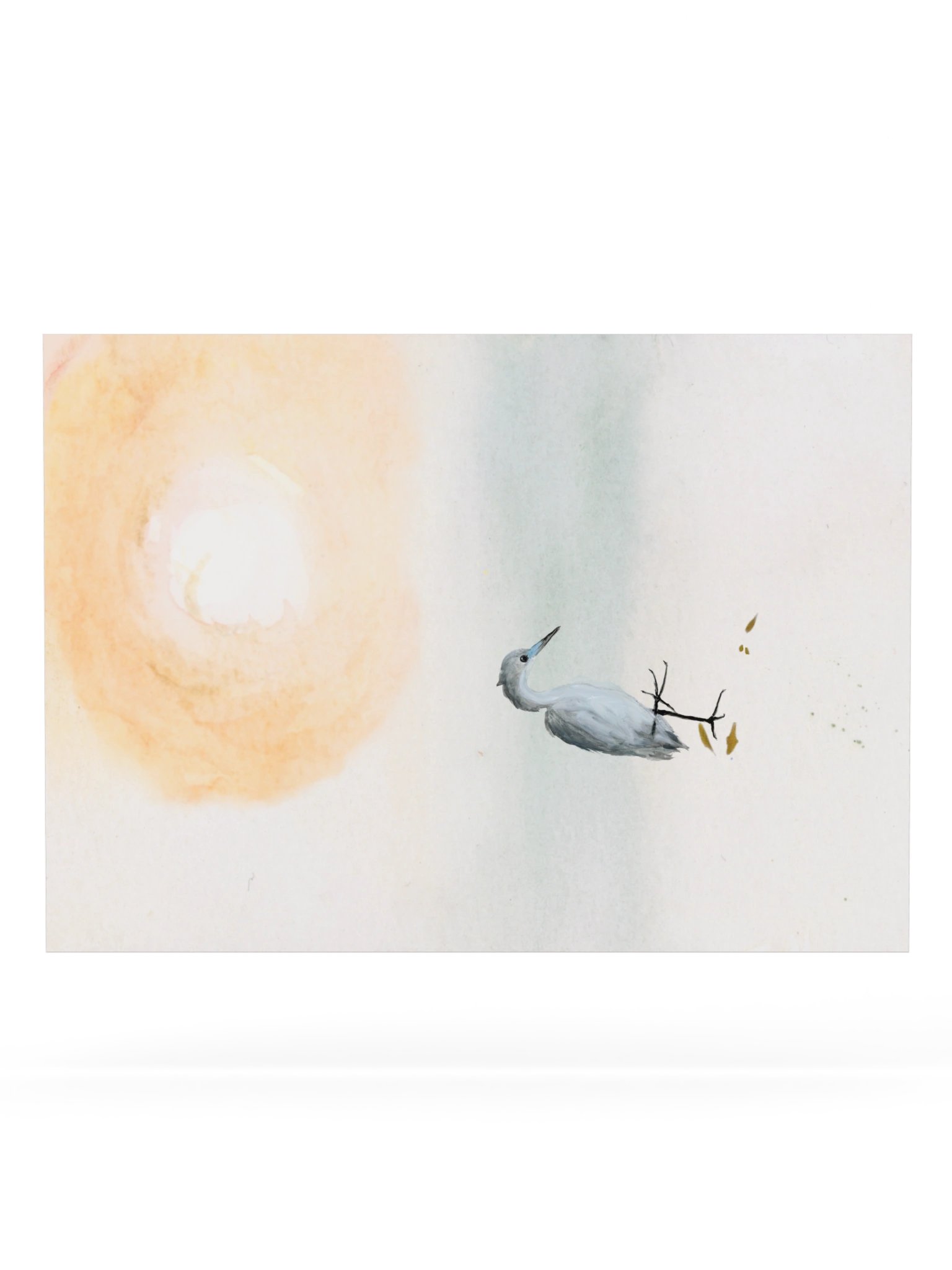 Baby Blue Heron - Fine Art Print product image (62)